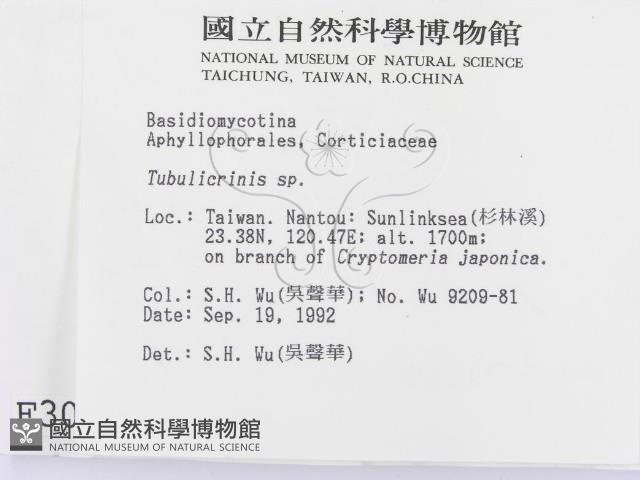 登錄號:F0003003藏品圖，第2張