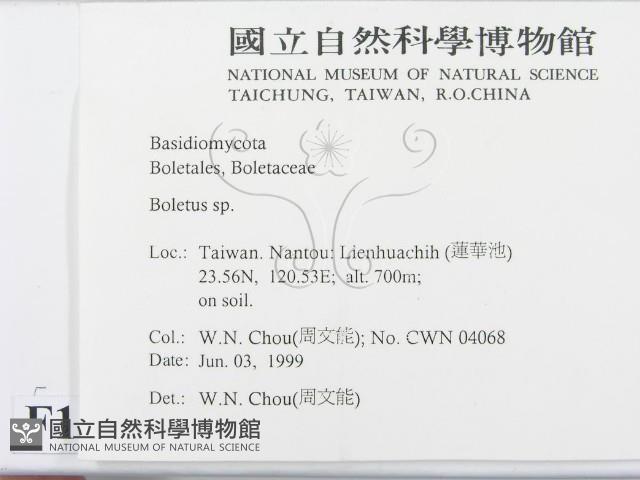 登錄號:F0013003藏品圖，第2張