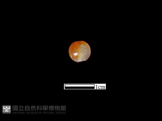 瑪瑙珠藏品圖，第1張