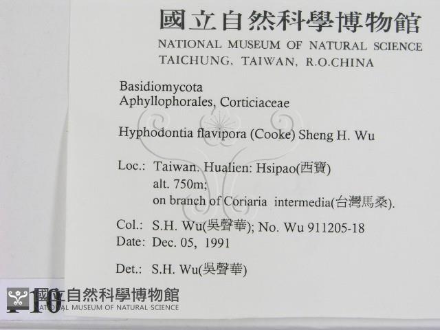 登錄號:F0010303藏品圖，第2張