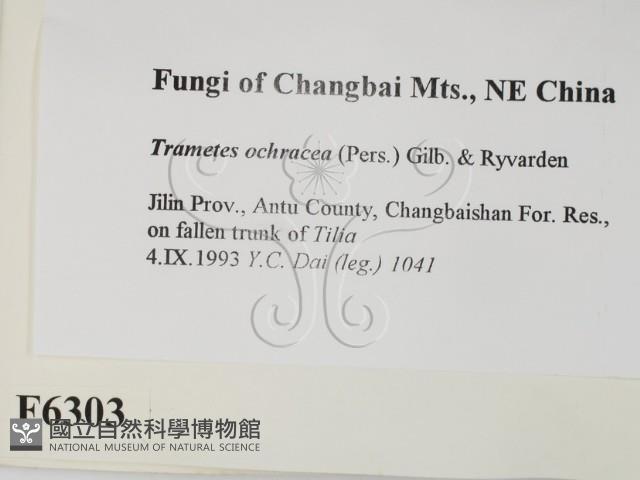 登錄號:F0006303藏品圖，第2張