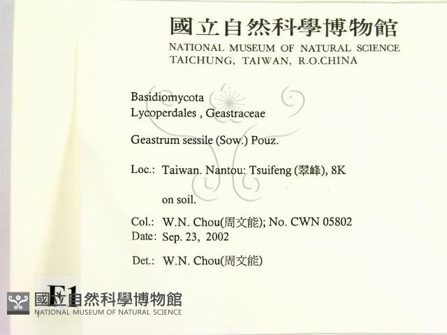登錄號:F0016303藏品圖，第2張