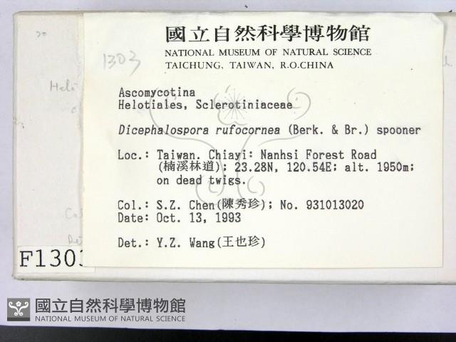 登錄號:F0001303藏品圖，第2張