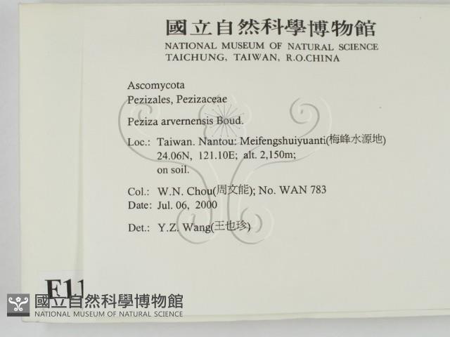 登錄號:F0011303藏品圖，第2張