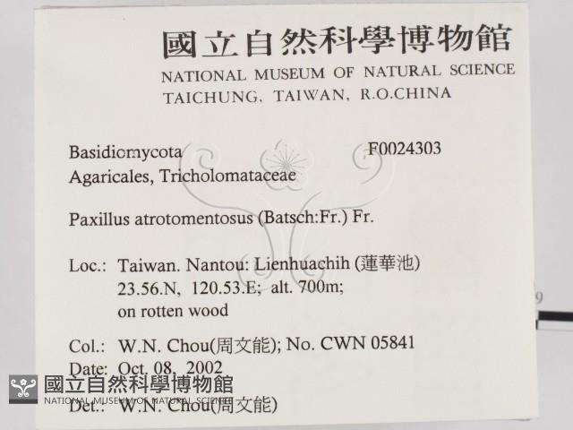 登錄號:F0024303藏品圖，第2張