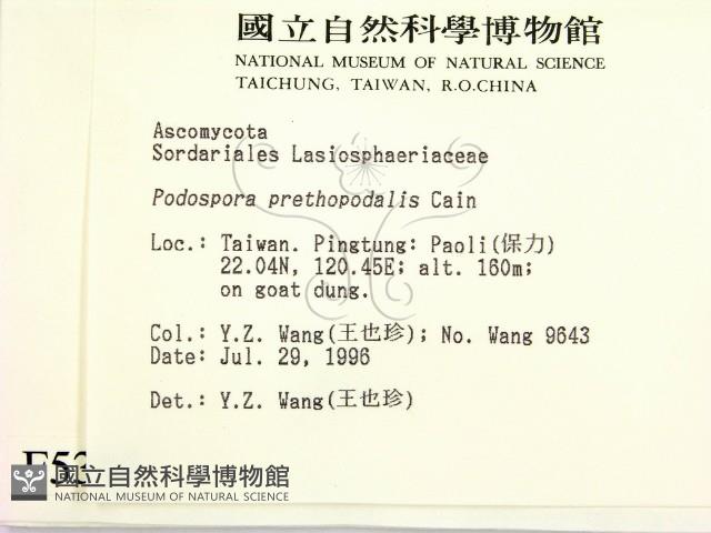 登錄號:F0005303藏品圖，第2張