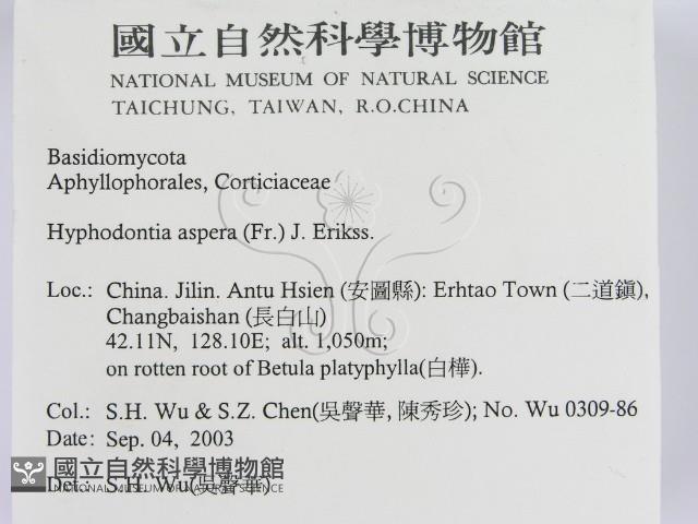 登錄號:F0015303藏品圖，第2張