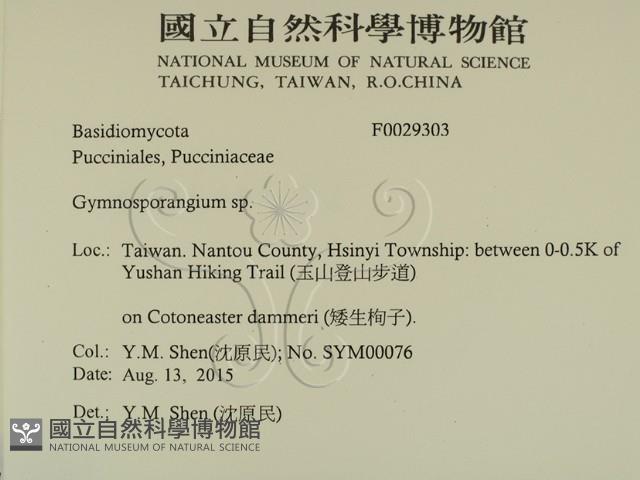 Accession Number:F0029303 Collection Image, Figure 2, Total 2 Figures