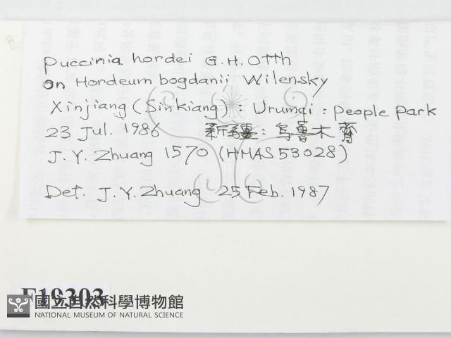 登錄號:F0019303藏品圖，第2張