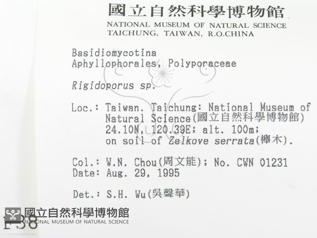 登錄號:F0003303藏品圖，第2張