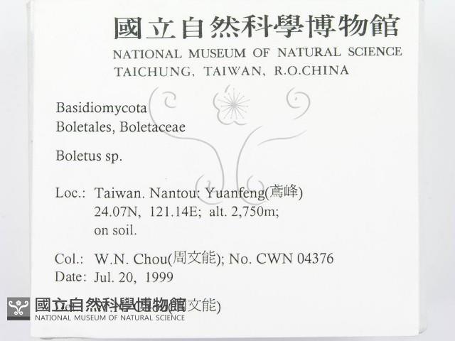 登錄號:F0013303藏品圖，第2張