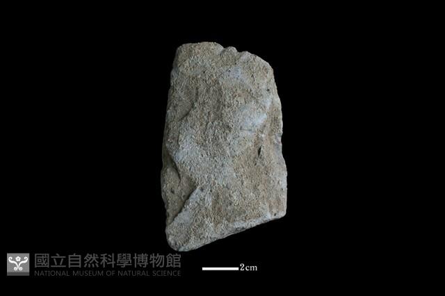 斧鋤形器藏品圖，第2張