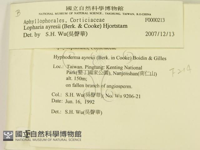 登錄號:F0000213藏品圖，第2張
