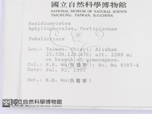 登錄號:F0001213藏品圖，第2張