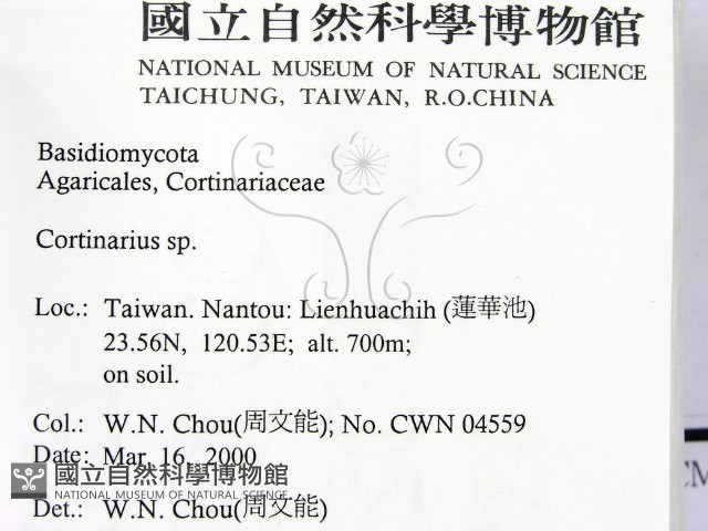 登錄號:F0014213藏品圖，第2張
