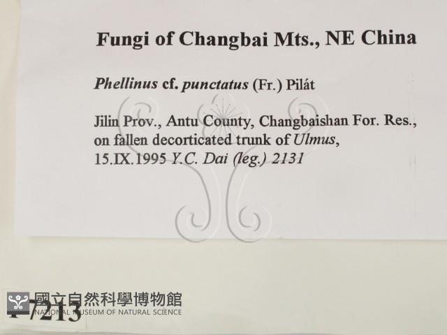 登錄號:F0007213藏品圖，第2張