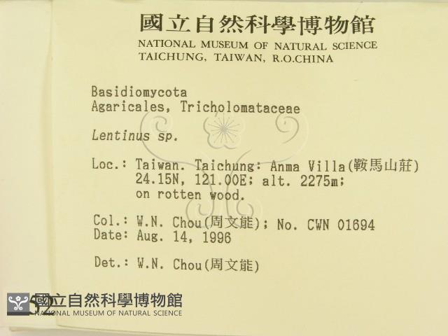登錄號:F0005213藏品圖，第2張