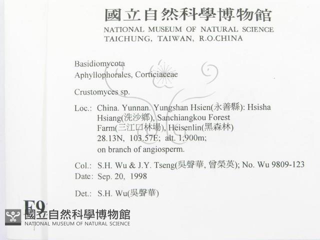 登錄號:F0009213藏品圖，第2張