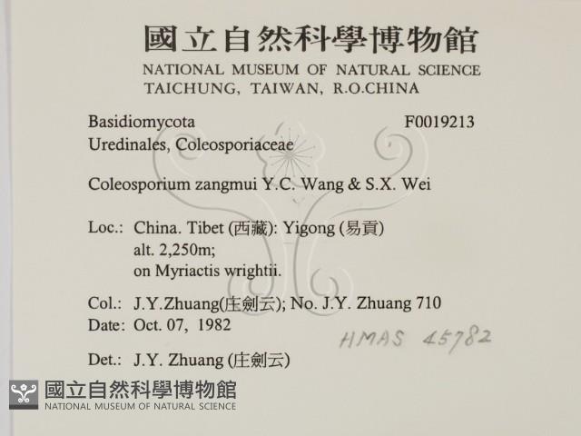 登錄號:F0019213藏品圖，第2張