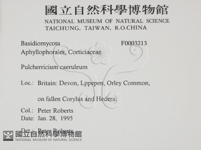 登錄號:F0003213藏品圖，第2張