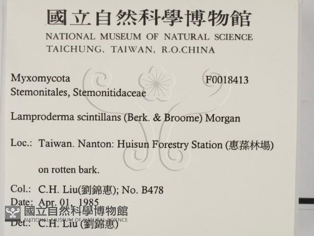 登錄號:F0018413藏品圖，第2張