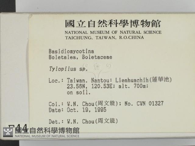 登錄號:F0004413藏品圖，第2張