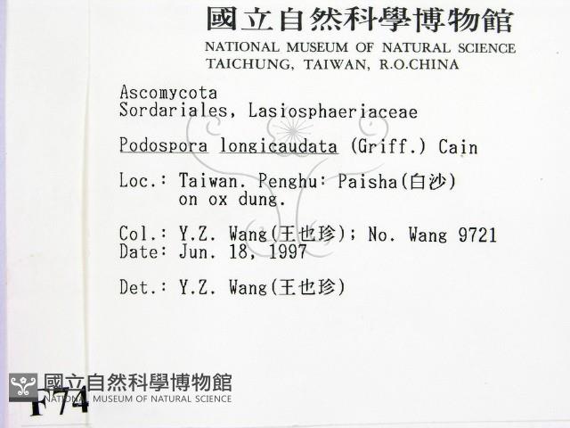 登錄號:F0007413藏品圖，第2張