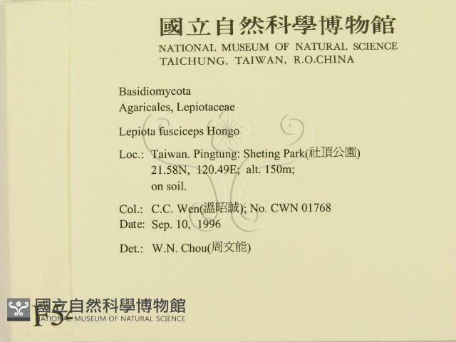 登錄號:F0005413藏品圖，第2張