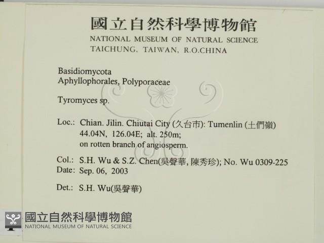 登錄號:F0015413藏品圖，第2張