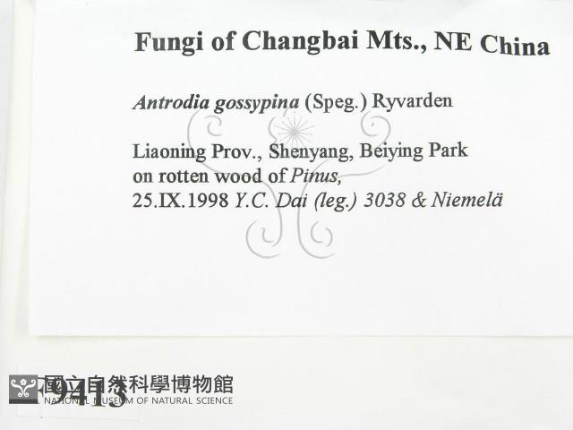 登錄號:F0009413藏品圖，第2張