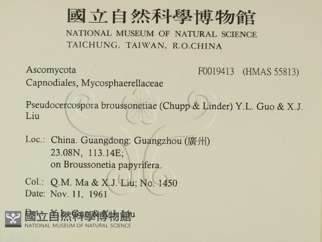 登錄號:F0019413藏品圖，第2張