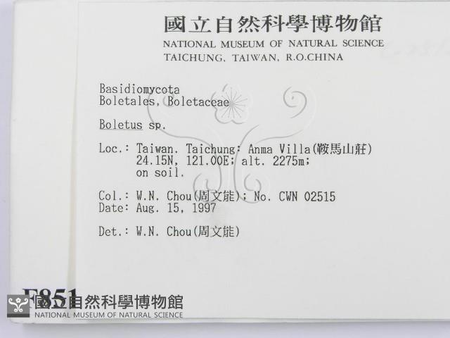 登錄號:F0008513藏品圖，第2張