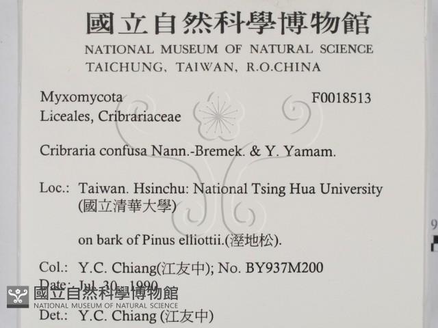 登錄號:F0018513藏品圖，第2張