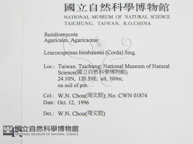 登錄號:F0005513藏品圖，第2張