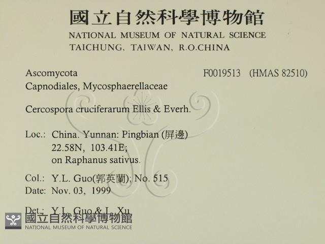 登錄號:F0019513藏品圖，第2張