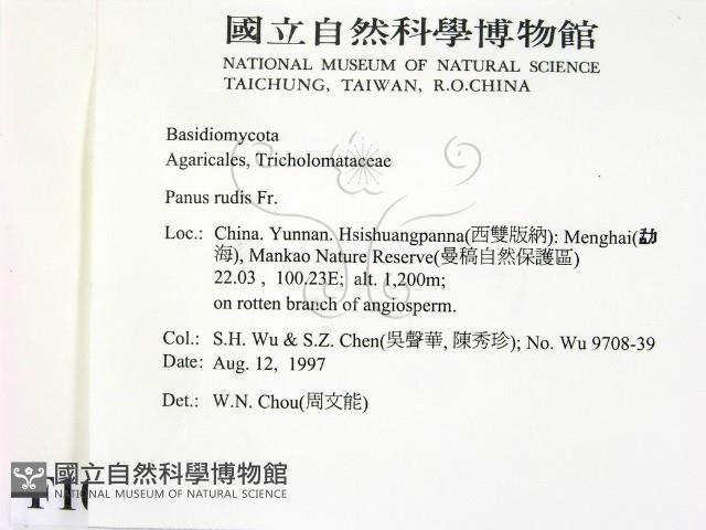 登錄號:F0010113藏品圖，第2張