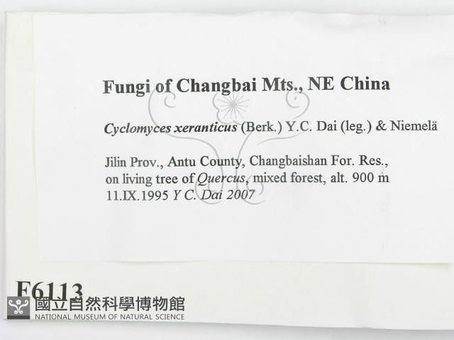 登錄號:F0006113藏品圖，第2張