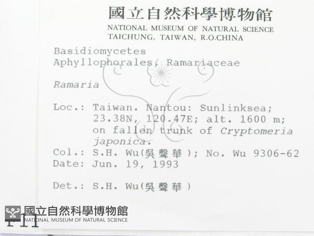 登錄號:F0001113藏品圖，第2張