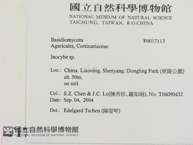 登錄號:F0017113藏品圖，第2張