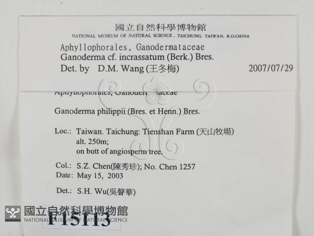 登錄號:F0015113藏品圖，第2張