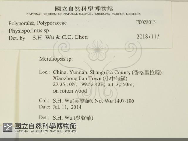 登錄號:F0028013藏品圖，第2張