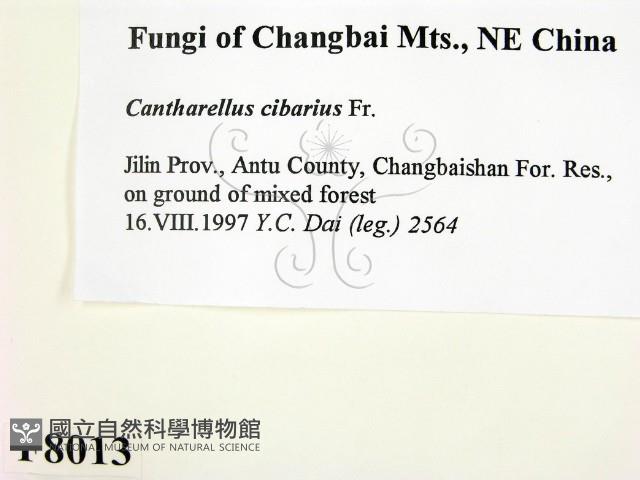 登錄號:F0008013藏品圖，第2張