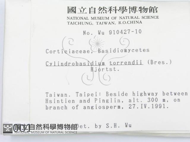 登錄號:F0000013藏品圖，第2張