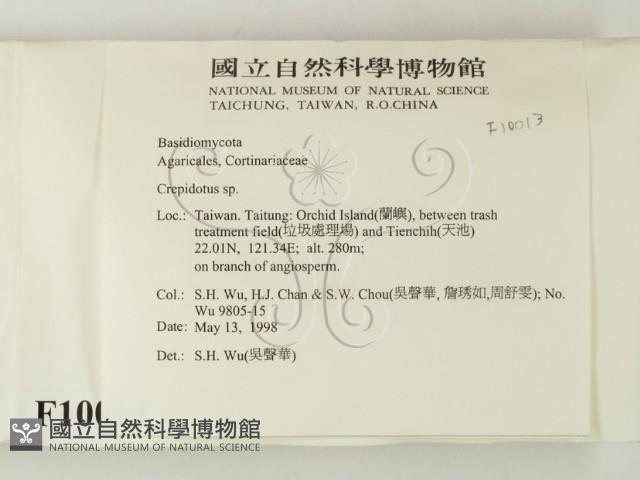 登錄號:F0010013藏品圖，第2張