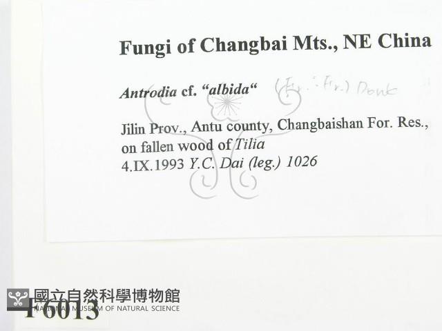 登錄號:F0006013藏品圖，第2張