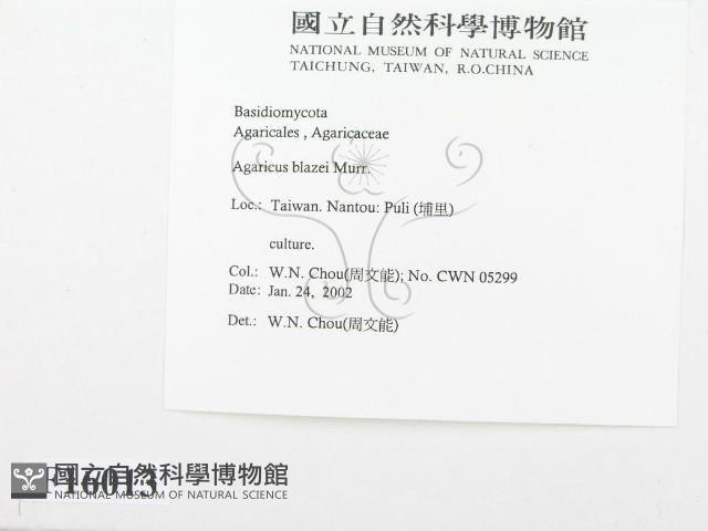 登錄號:F0016013藏品圖，第2張