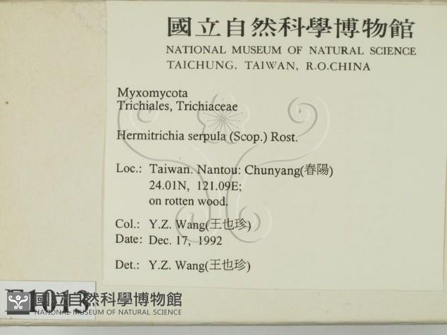 登錄號:F0001013藏品圖，第2張