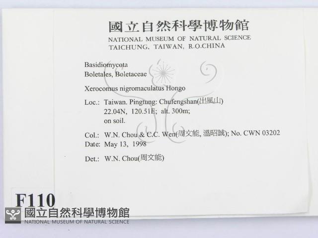 登錄號:F0011013藏品圖，第2張