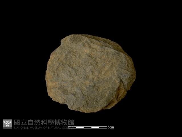 打製石器藏品圖，第2張