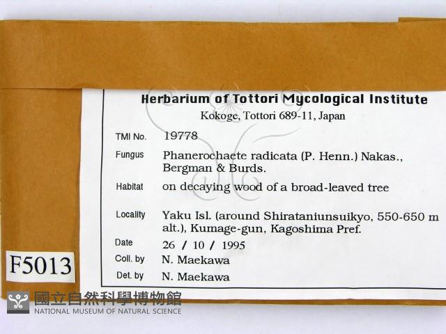 登錄號:F0005013藏品圖，第2張